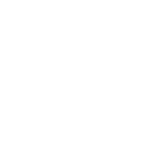 tiktok-icon